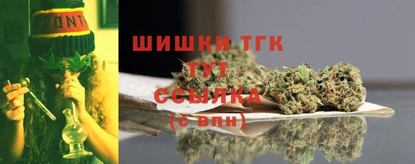 PSILOCYBIN Богородицк