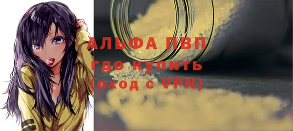 PSILOCYBIN Богородицк