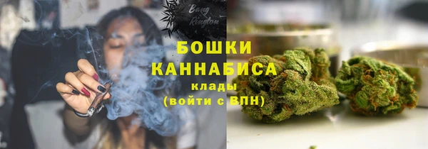 МДПВ Богородск