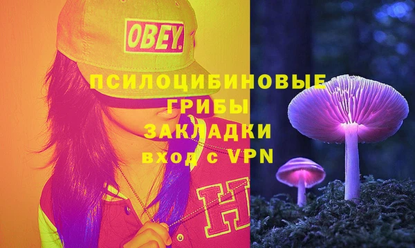 PSILOCYBIN Богородицк