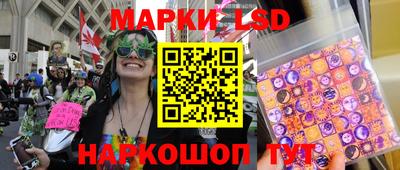 дурь Берёзовский