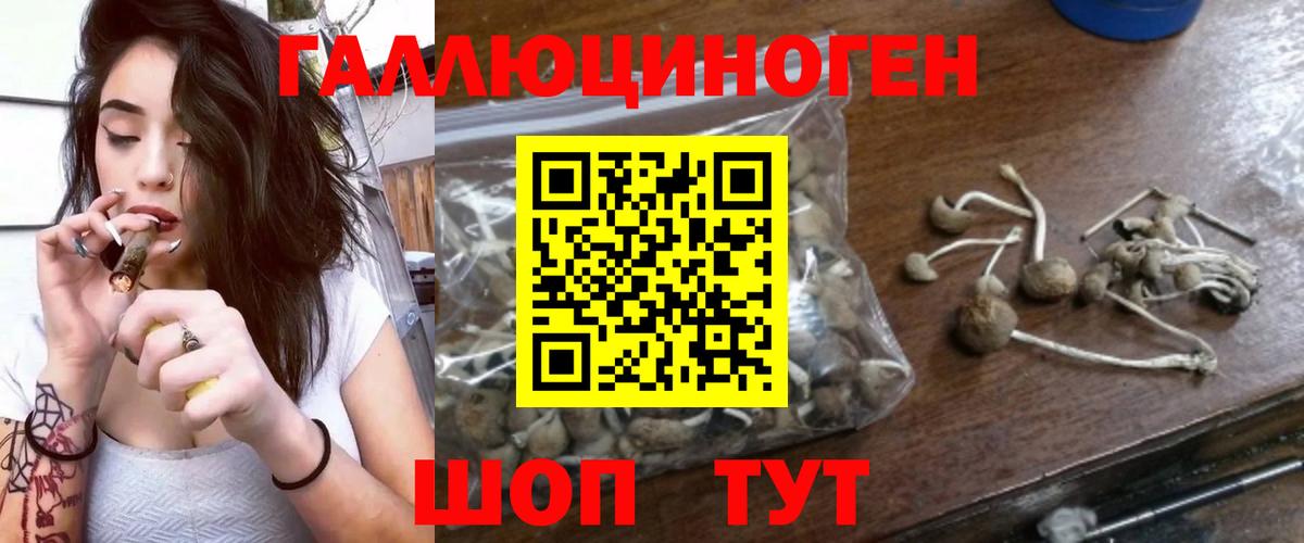 Галлюциногенные грибы ЛСД  Вход с VPN  Псилоцибиновые грибы Magic Shrooms  Бузулук 