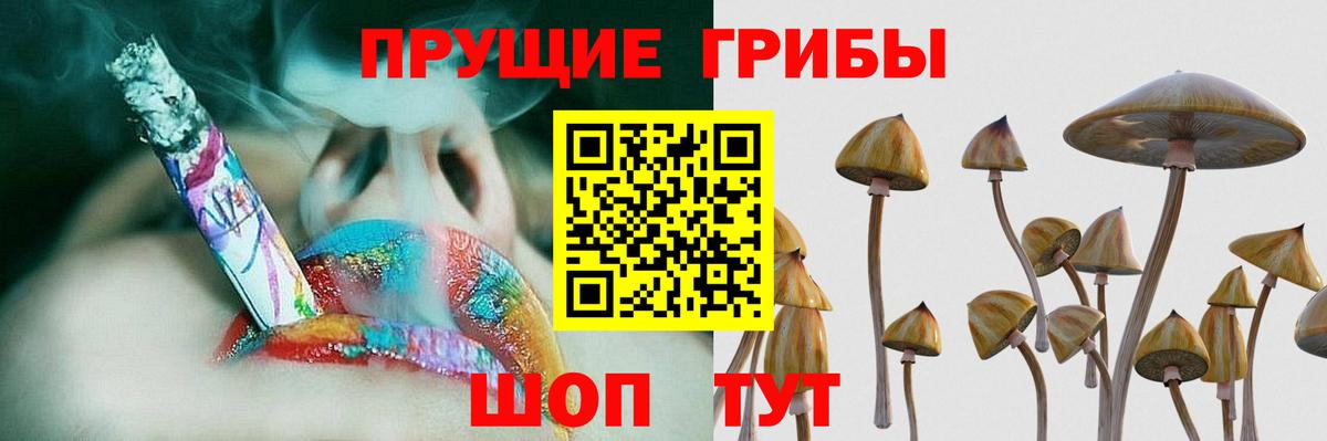 Галлюциногенные грибы MAGIC MUSHROOMS Бузулук